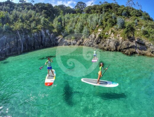 clases de surf asturias