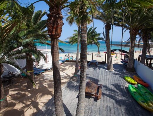 clases de surf fuerteventura