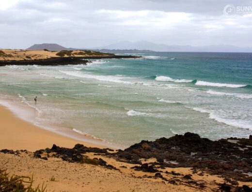 clases de surf fuerteventura