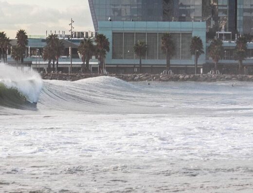 clases de surf barcelona