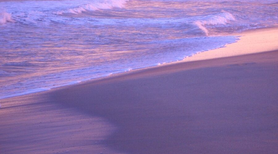 Título SEO: Descubre Comarruga, el paraíso del surf y paddle surf en la costa de Tarragona