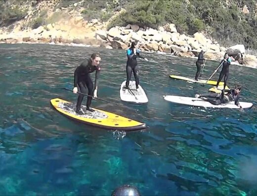 clases de surf barcelona