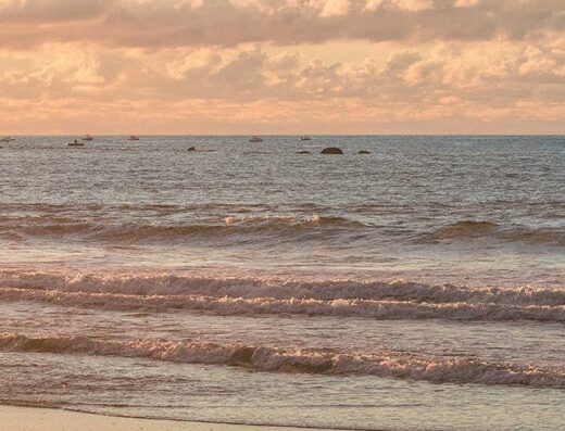 clases de surf asturias