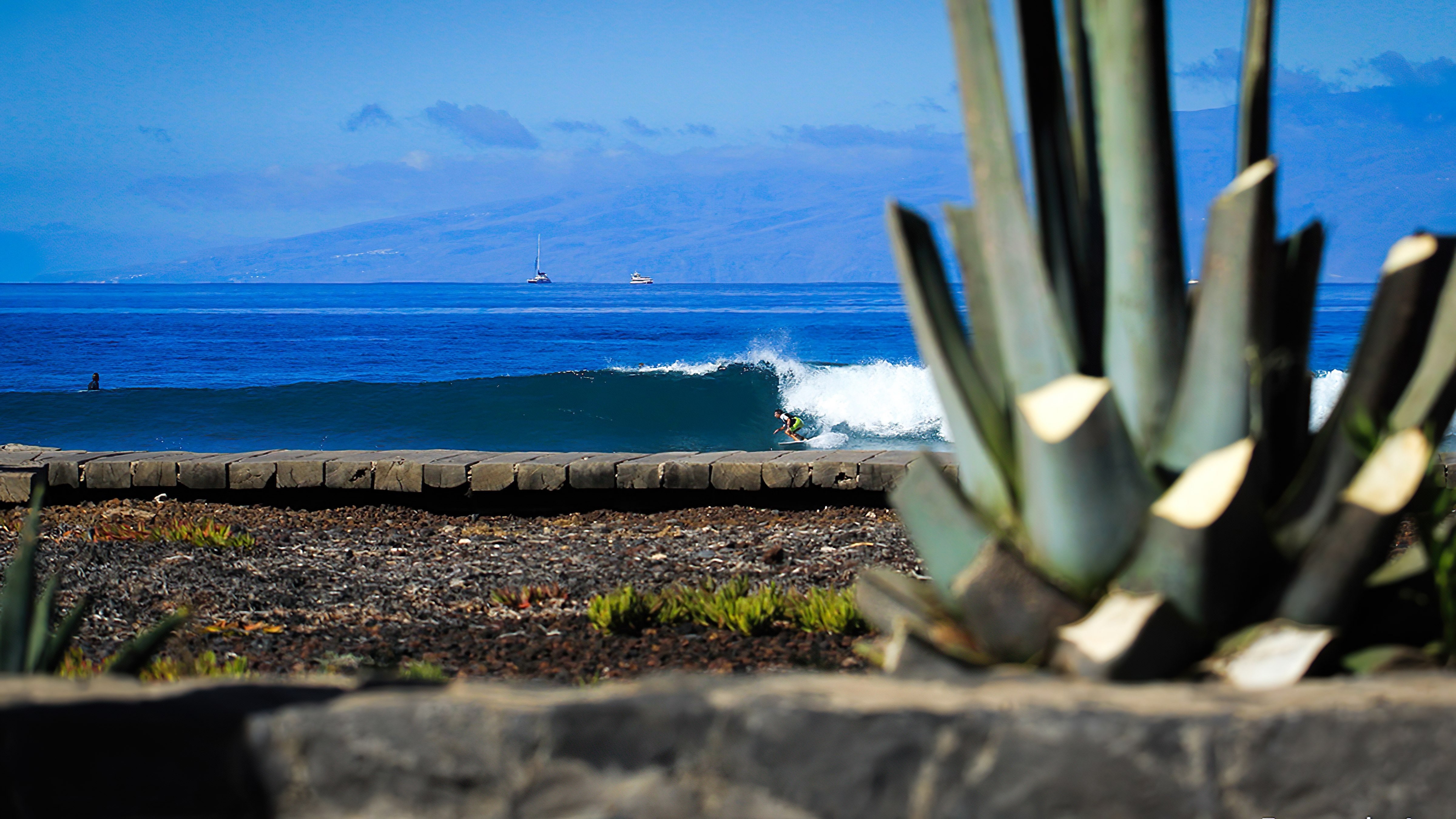 clases de surf tenerife