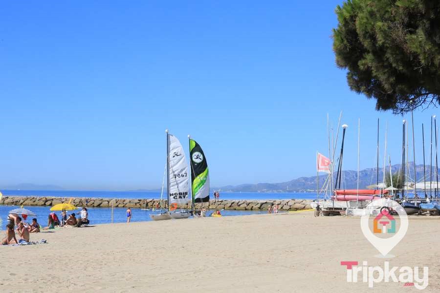surfencambrils
