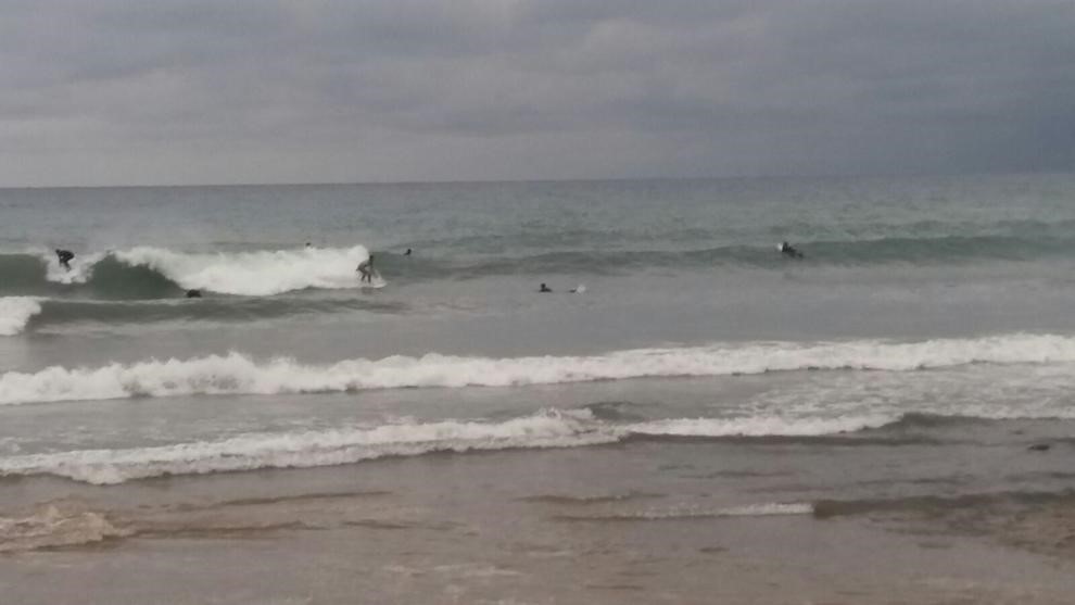 surfencambrils