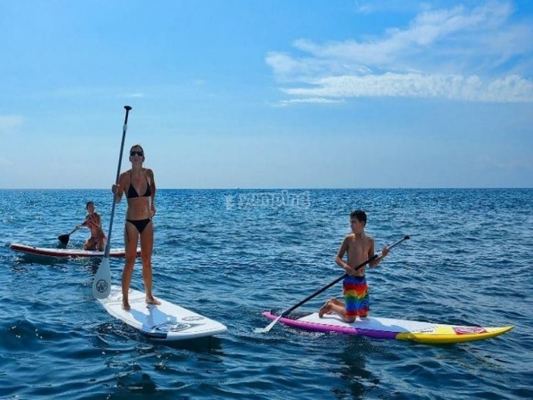 surfencambrils