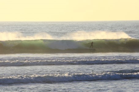 surfenelpalmardevejer