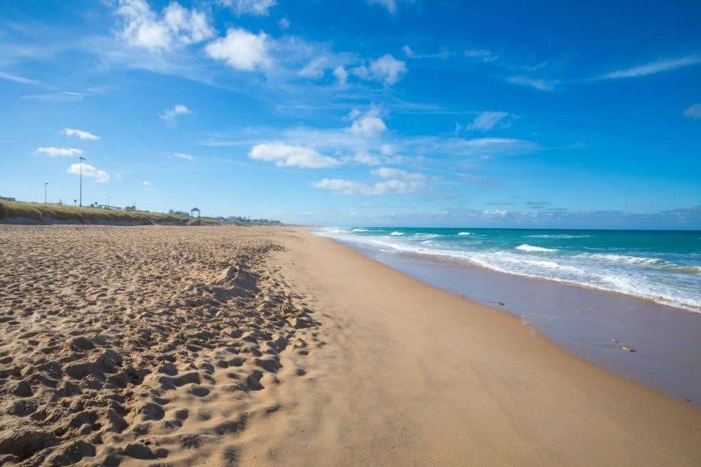 surfenelpalmardevejer