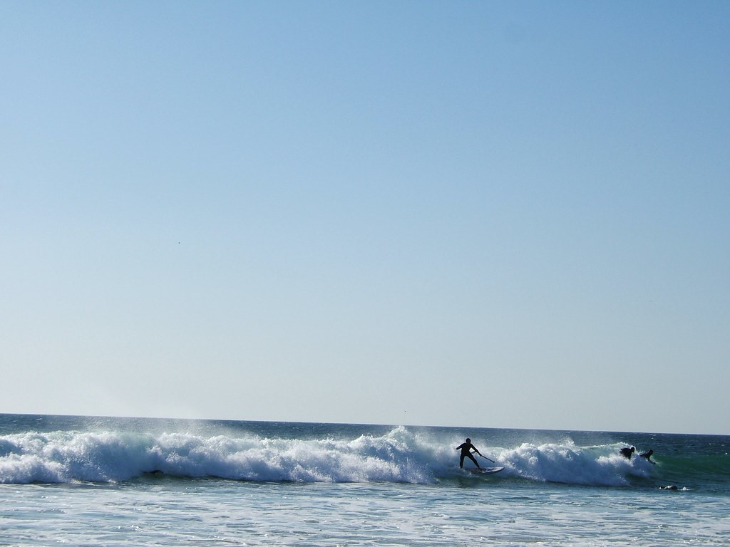 surfenelpalmardevejer