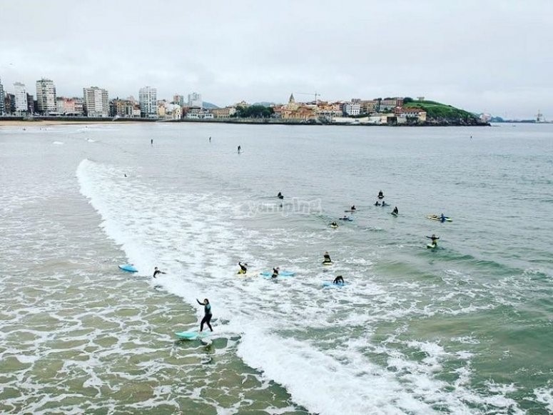 surfengijon