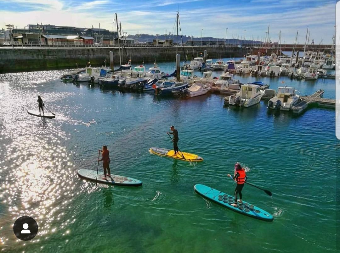 surfengijon