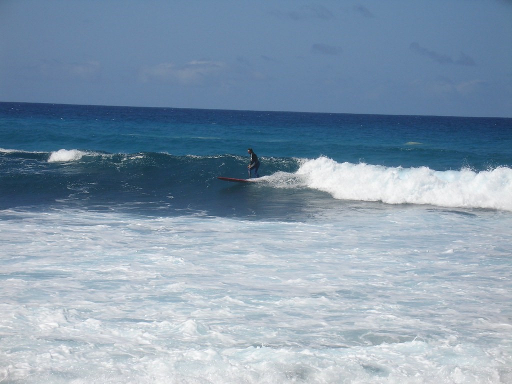 surfentorrelasal