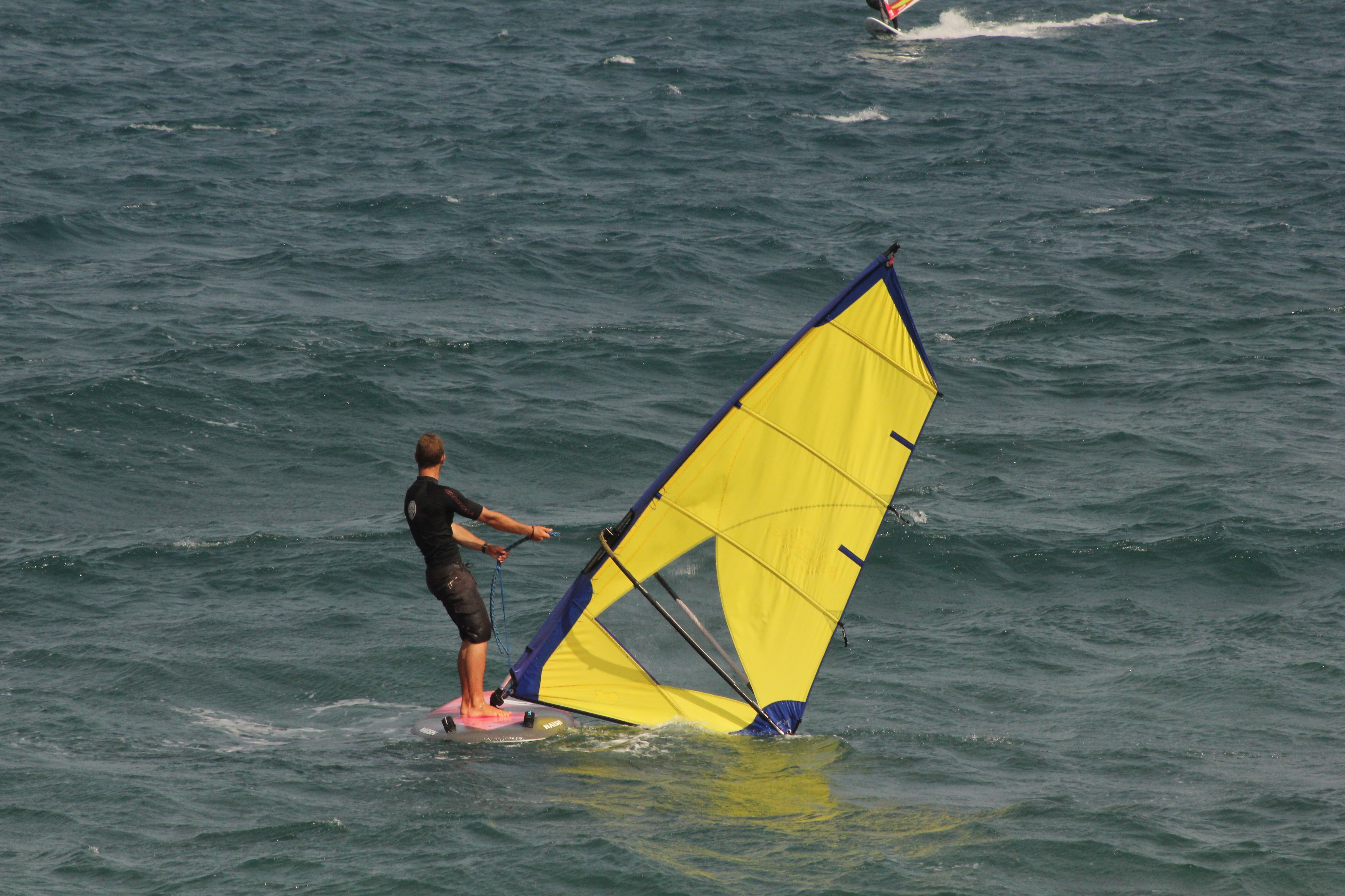 clases de surf fuerteventura