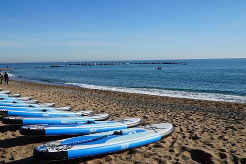 clases de surf barcelona