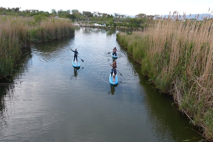 clases de paddle surf