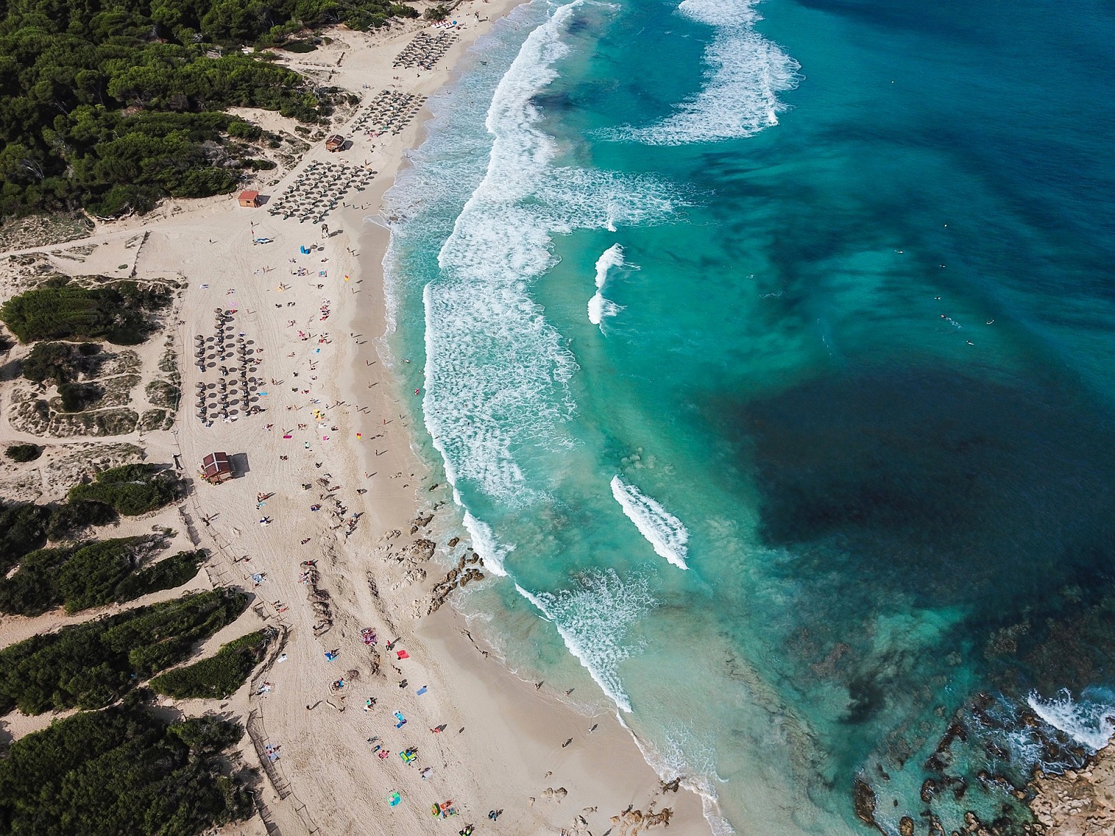 clases de surf mallorca