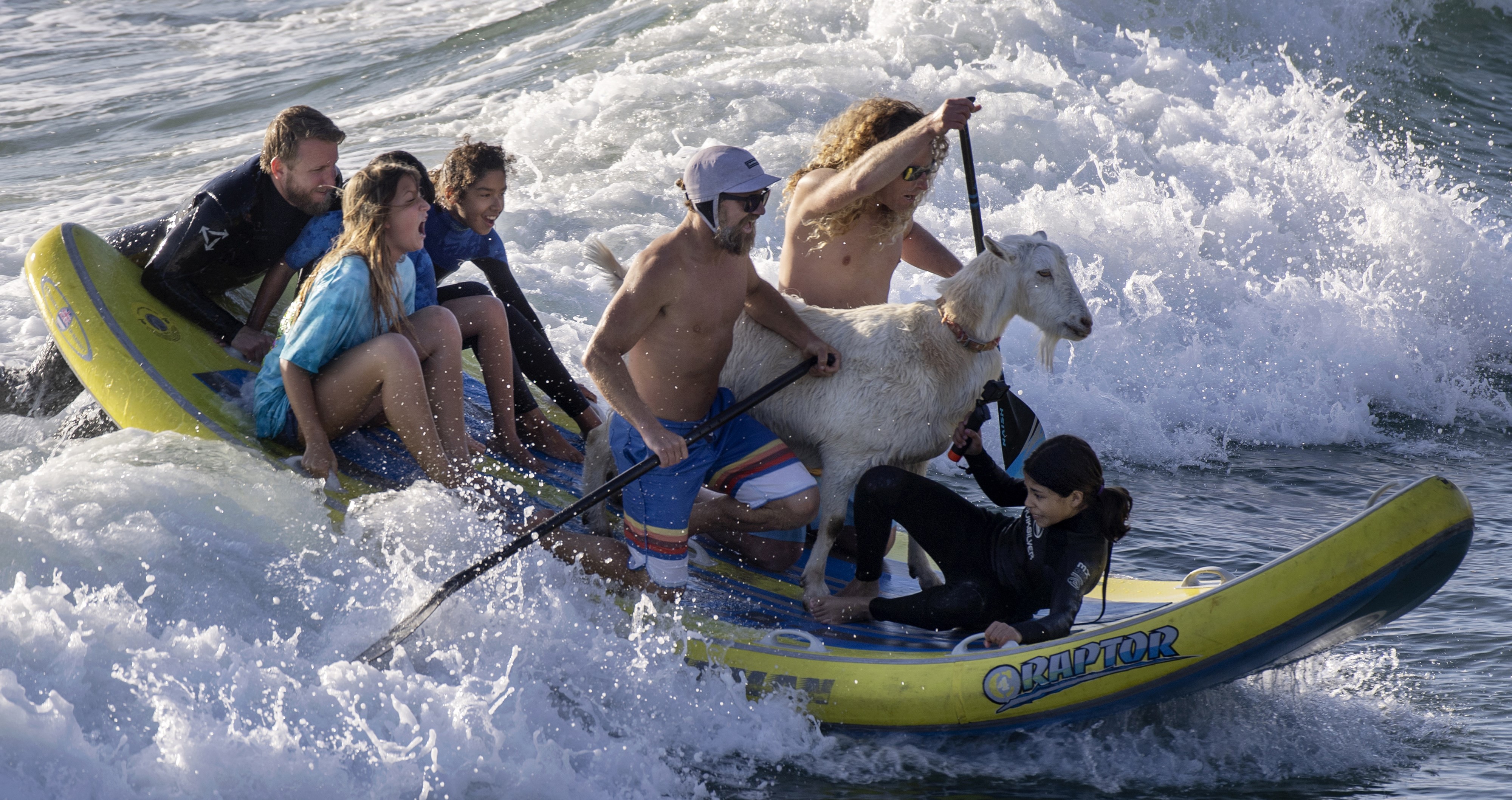 clases de surf fuerteventura