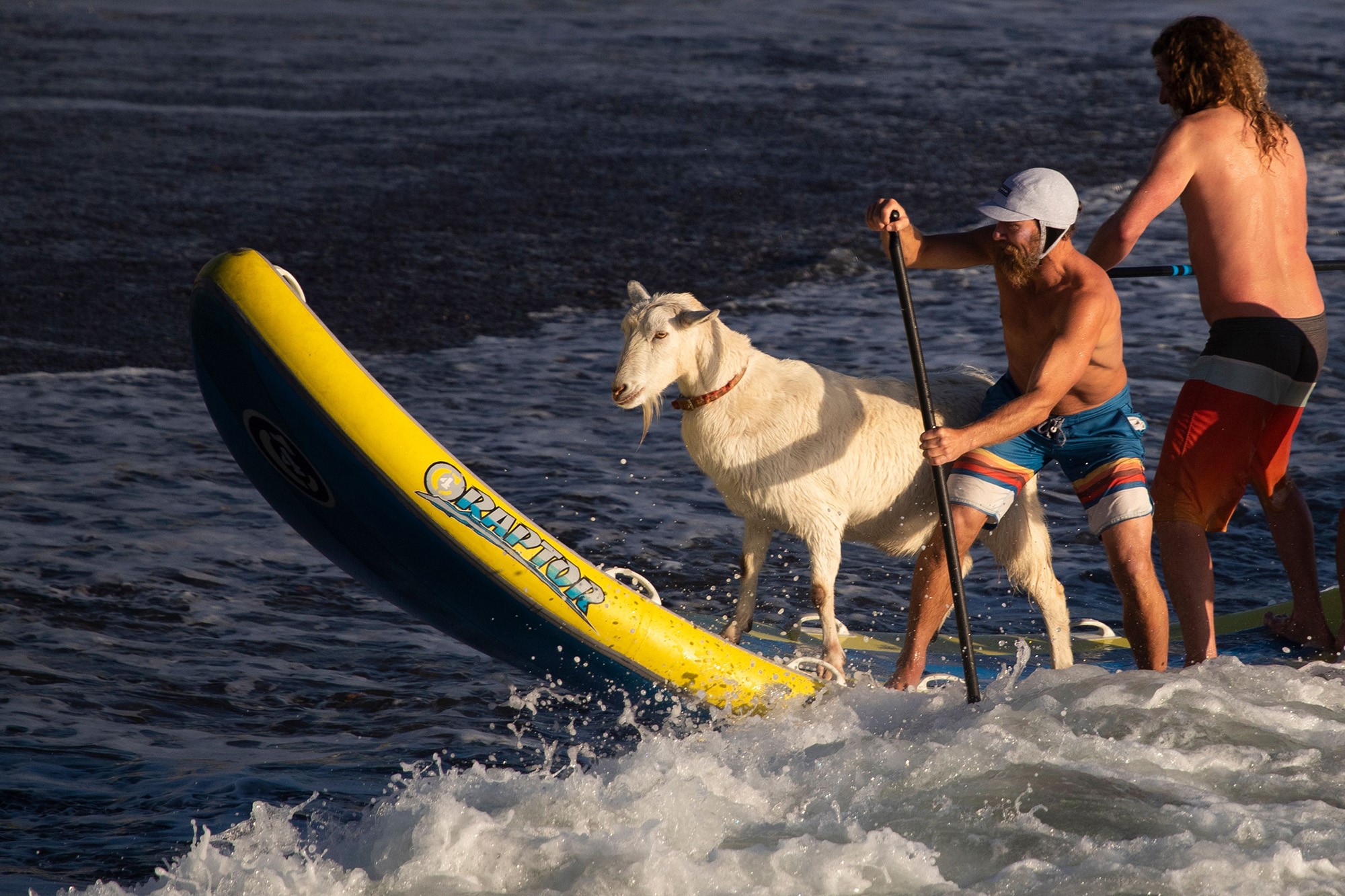 clases de surf fuerteventura