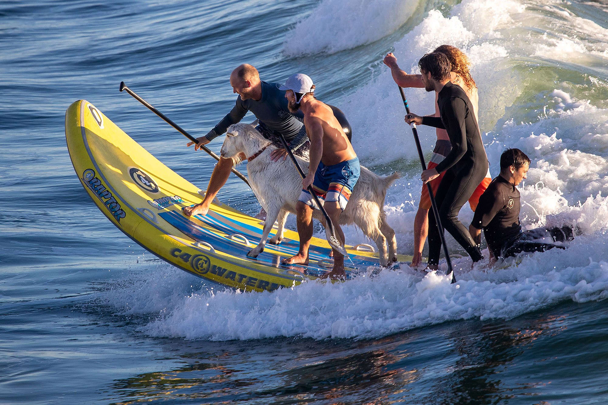 clases de surf fuerteventura