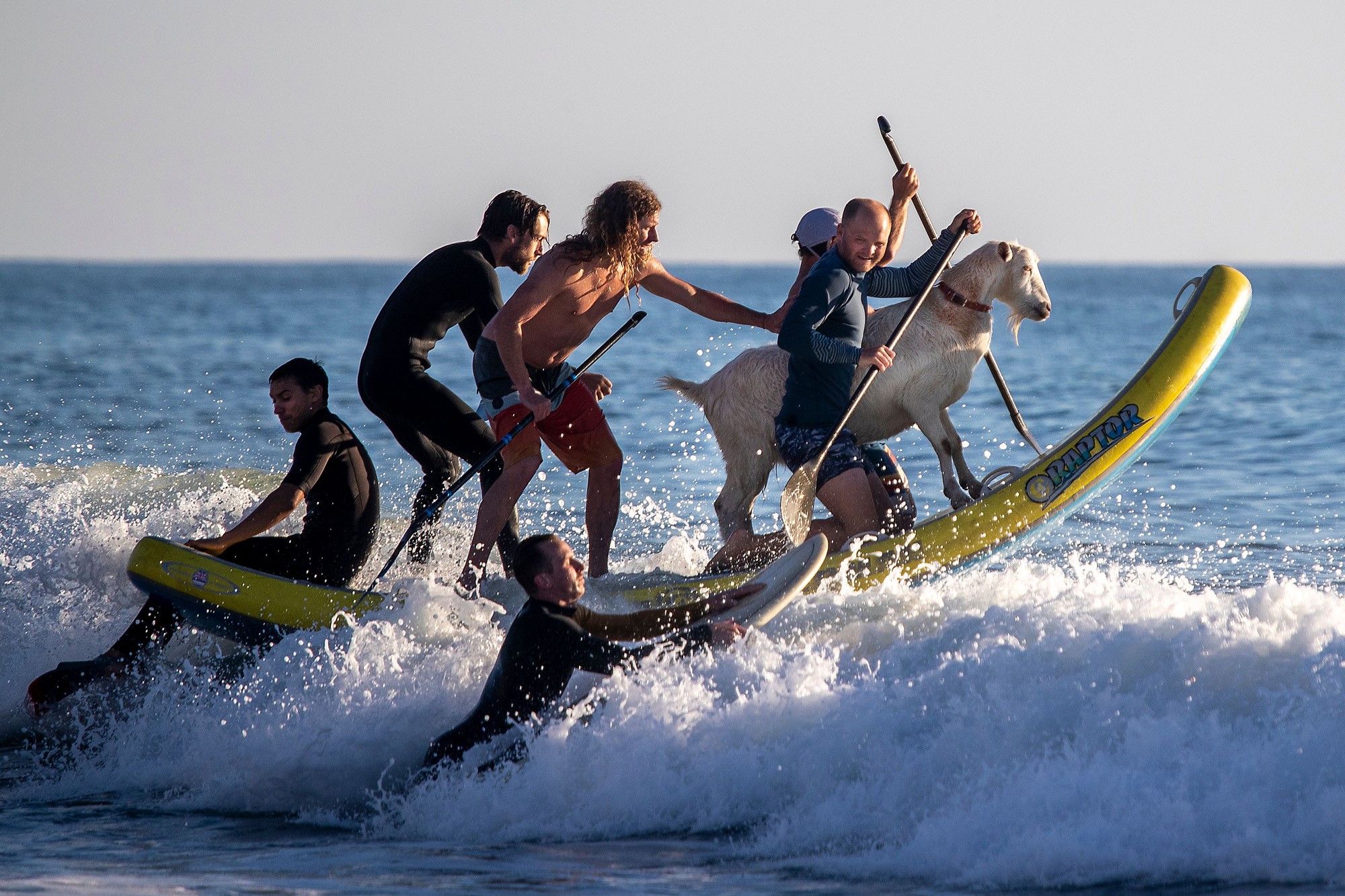 clases de surf fuerteventura