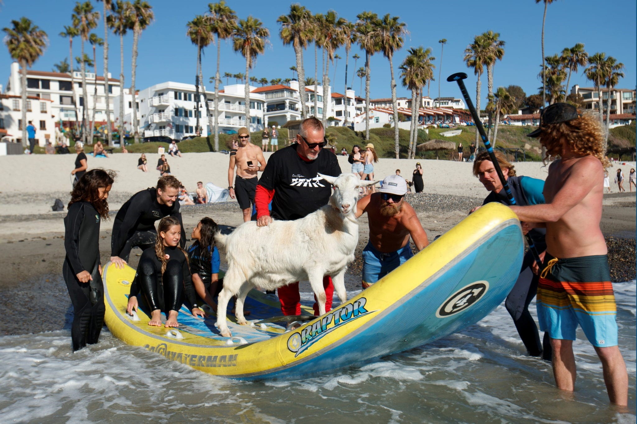 clases de surf fuerteventura