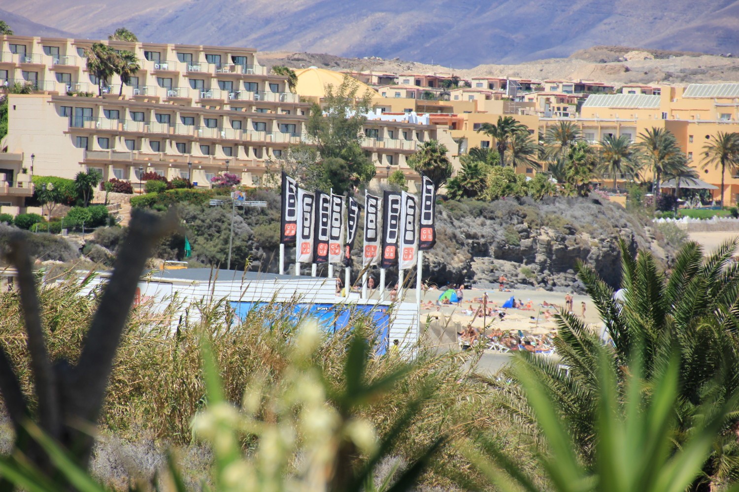 clases de surf fuerteventura