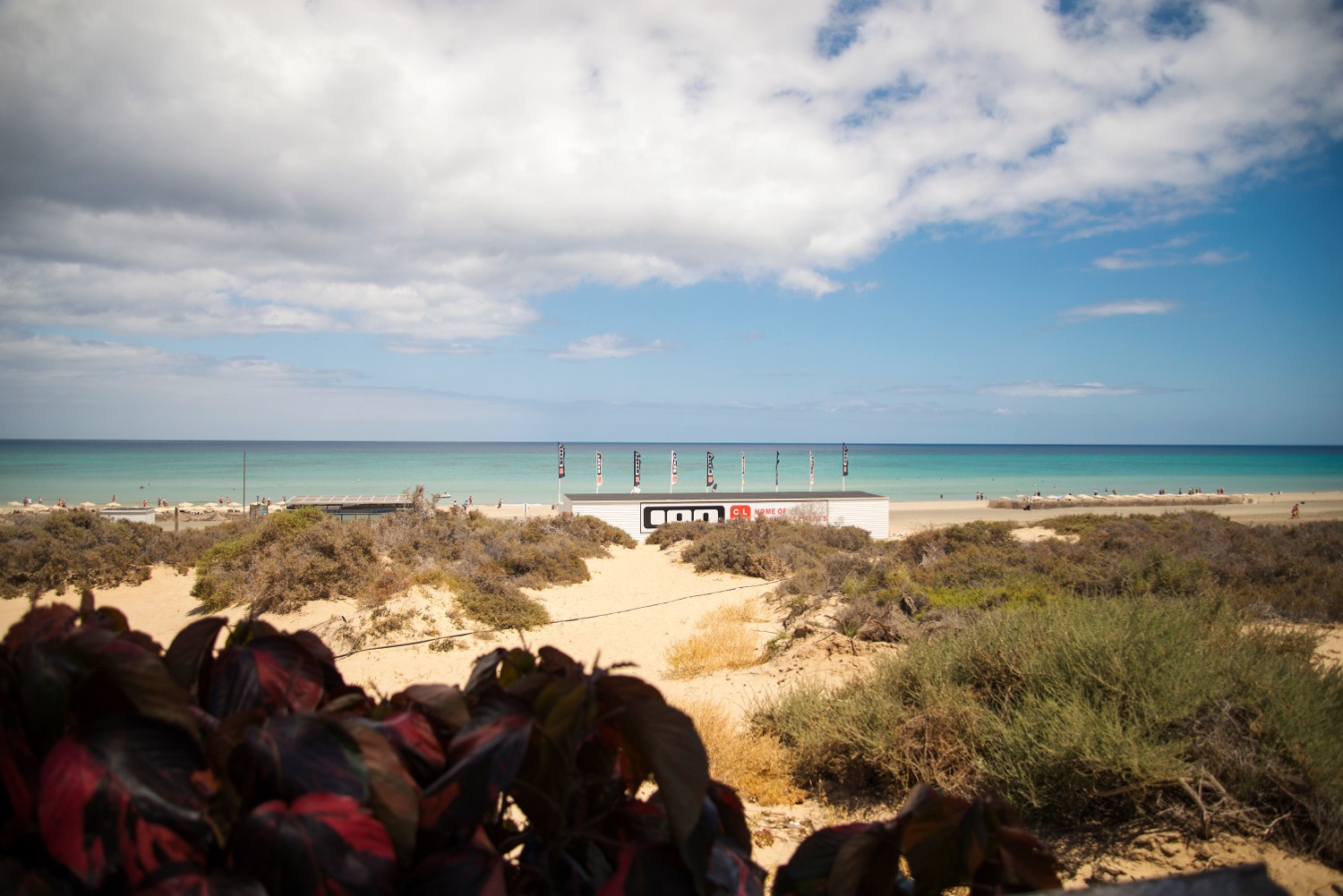 clases de surf fuerteventura