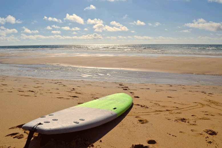 clases de surf fuerteventura