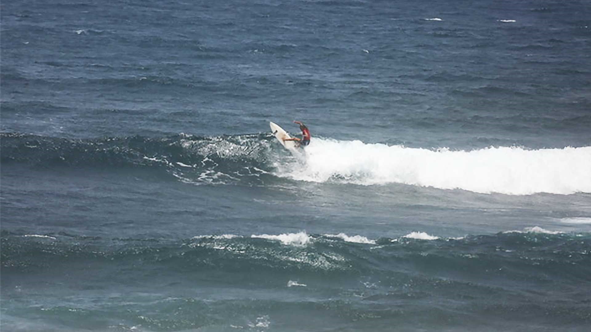 clases de surf fuerteventura