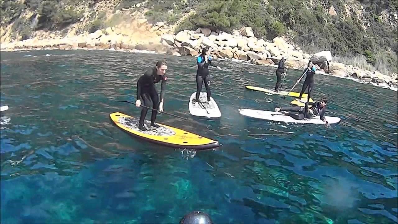 clases de surf barcelona